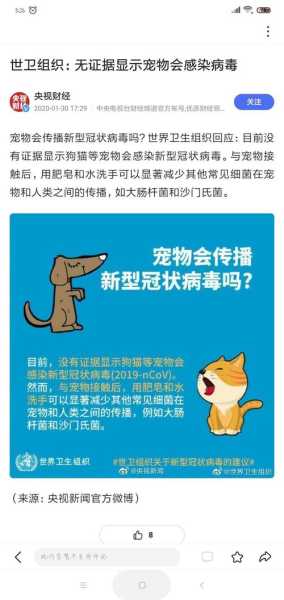 确诊者家中3只猫核酸阳性被安乐死(核酸阳性)