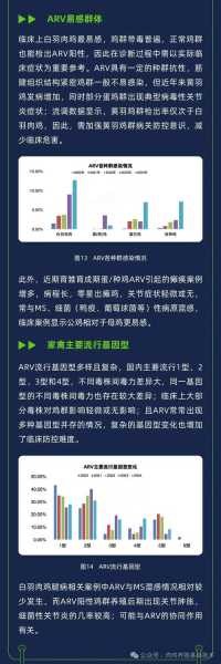 2024年的病毒有什么症状（2024年疫情）