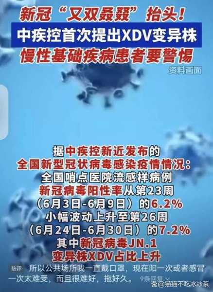 专家谈第二波感染第一高峰期(6月底新冠出现第二波高峰期)