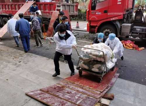 中国疫情放开死了多少人，武汉疫情死了多少人