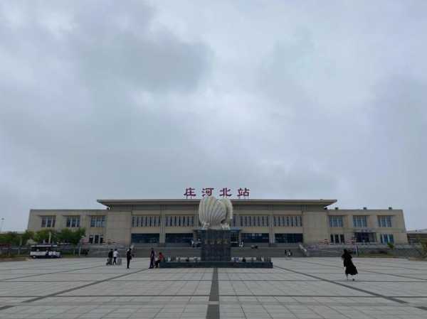 庄河疫情是什么时候开始的，大连疫情什么时候开始的