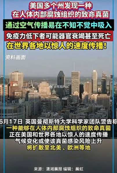 最近什么病毒又出现了，最近出现什么新的病毒