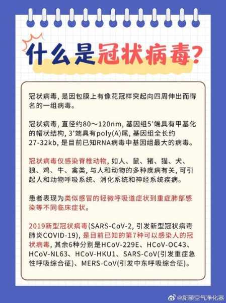 新型冠状病毒毒株的种类，新型冠状病毒有几种毒株