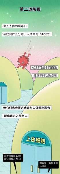 感染新冠病毒是怎么样的，新冠病毒是怎么感染人体的