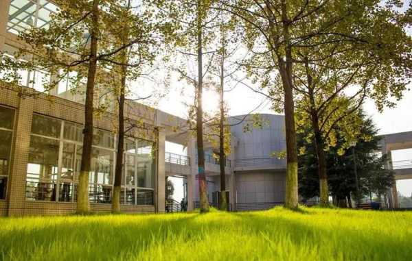 四川大学锦江学院图书馆,四川大学锦江学院