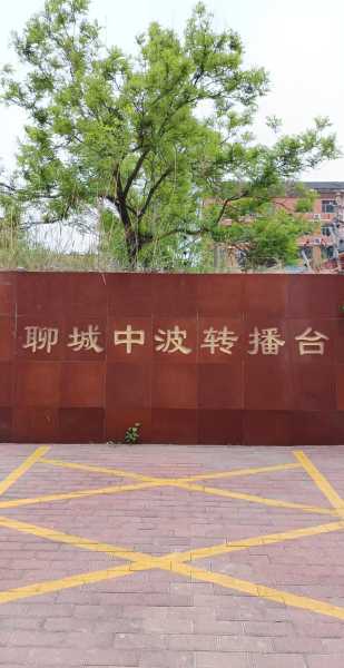 山东聊城新闻头条最新消息，聊城最近几天头条新闻