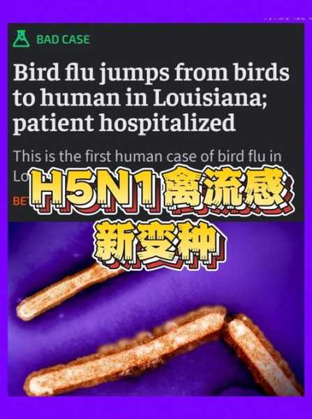 h7n7禽流感最新消息，全球禽流感最新报道