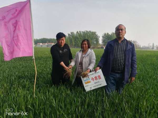 宁陵疫情最新消息今天封城了，宁陵县疫情防控中心