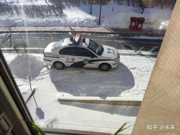 杀害哈尔滨防疫志愿者嫌犯被批捕了,哈尔滨多人防疫不力被追责